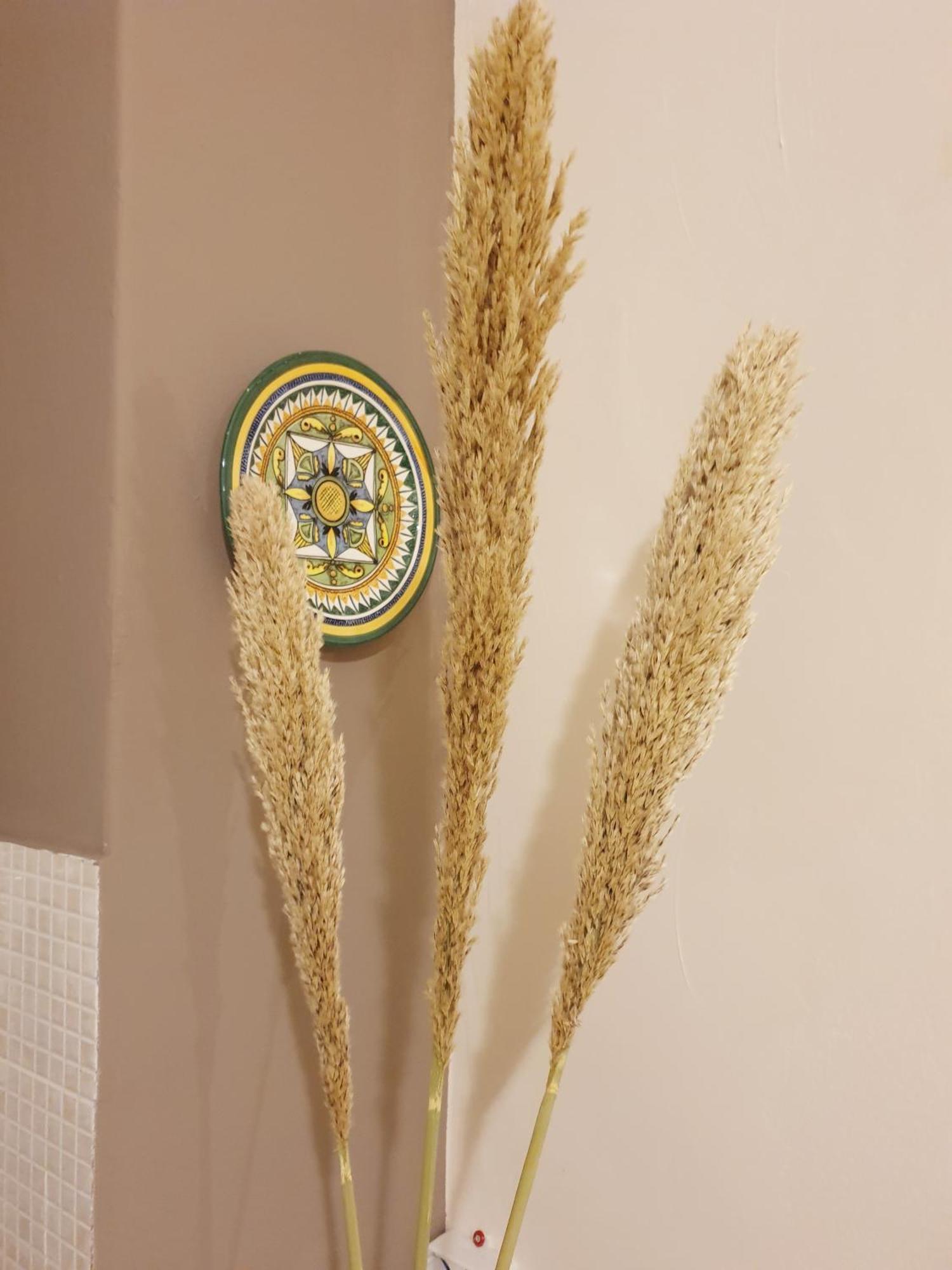 Apartament Dolce Casa Centro Storico Di Palermo New 2023 Pokój zdjęcie